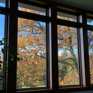 Meet your Posher, Leah